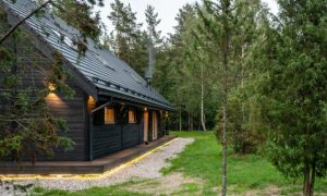 Charred timber clad home in woodland
